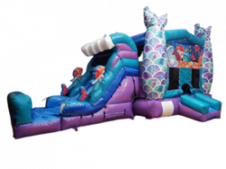 mermaid20combo 1651276599 Mermaid Combo (Wet)